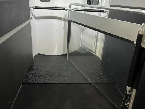 Gold3-option-surtapis