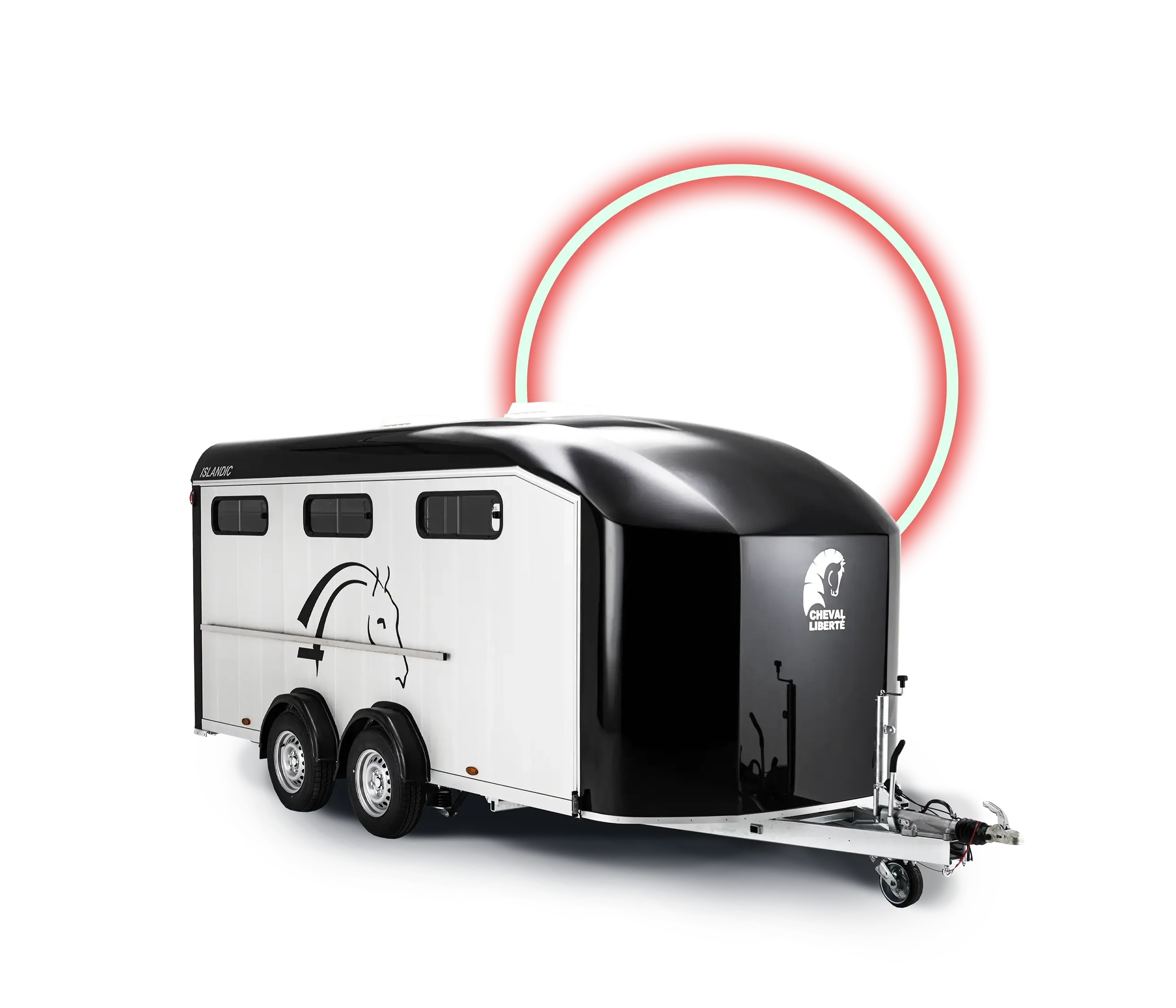 Islandic_chevalliberte